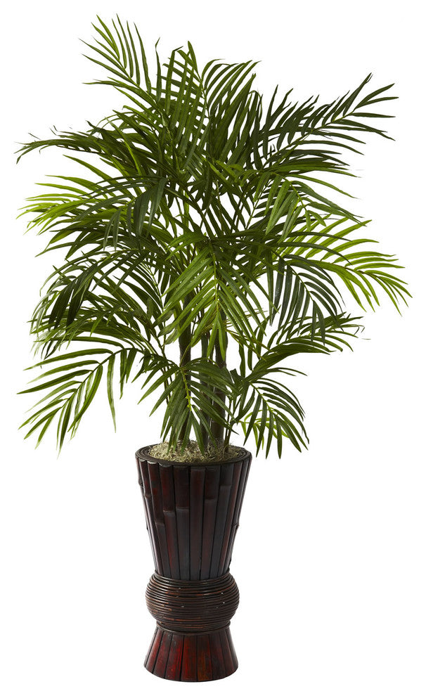 4" Areca With Bamboo Planter