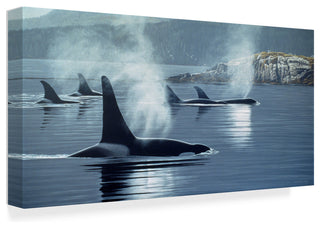 Ron Parker 'Morning Mist' Canvas Art, 47"x24"