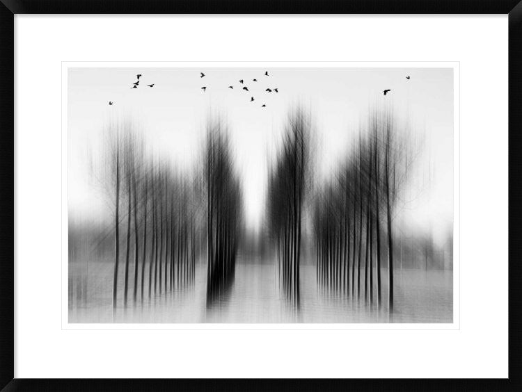 "Tree Architecture" Framed Digital Print by Roswitha Schleicher-Schwarz, 30x22"
