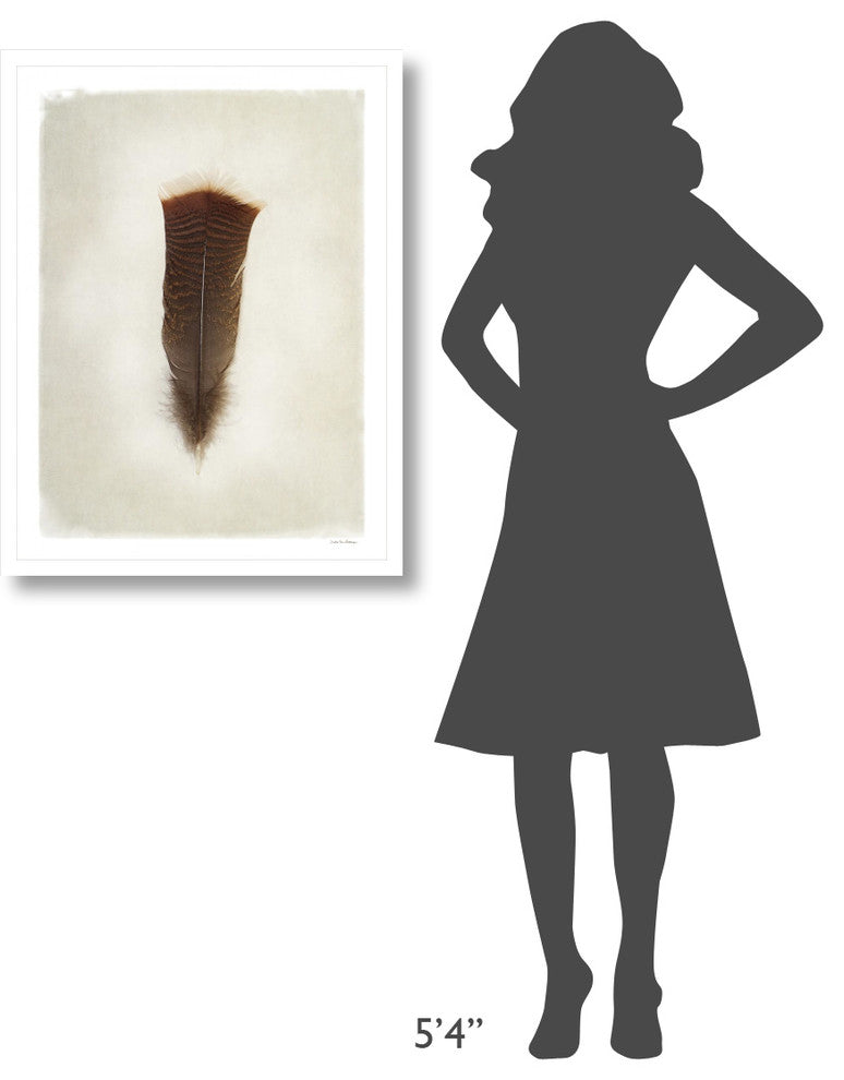"Feather III" Digital Paper Print by Debra Van Swearingen, 26"x34"