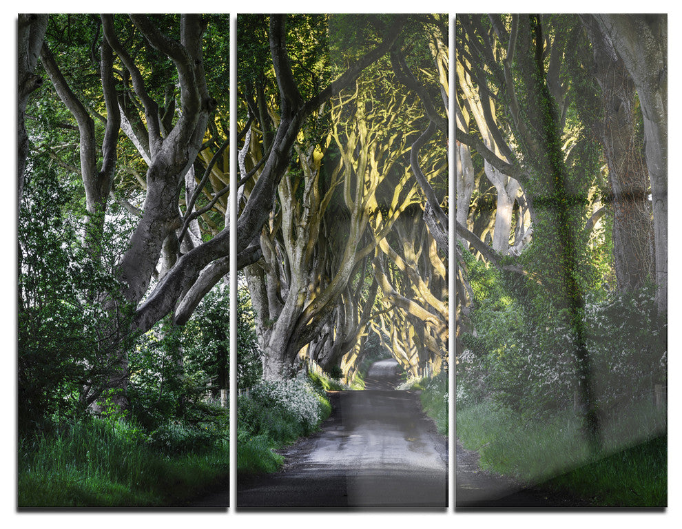 "The Dark Hedges Ireland Landscape" Photo Metal Wall Art, 3 Panels, 36"x28"