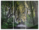 "The Dark Hedges Ireland Landscape" Photo Metal Wall Art, 3 Panels, 36"x28"