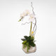 Real Touch Phalaenopsis Silk Orchid With Succulents in a Cement Pot