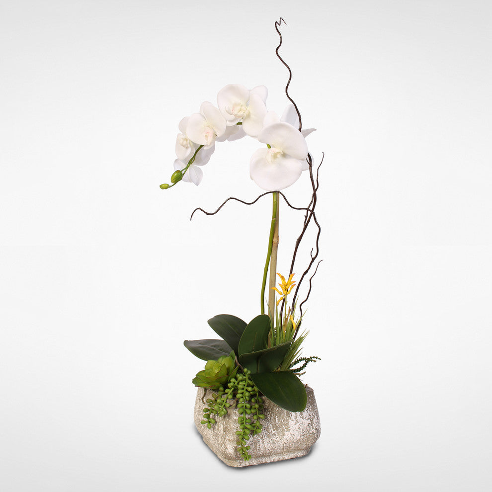 Real Touch Phalaenopsis Silk Orchid With Succulents in a Cement Pot