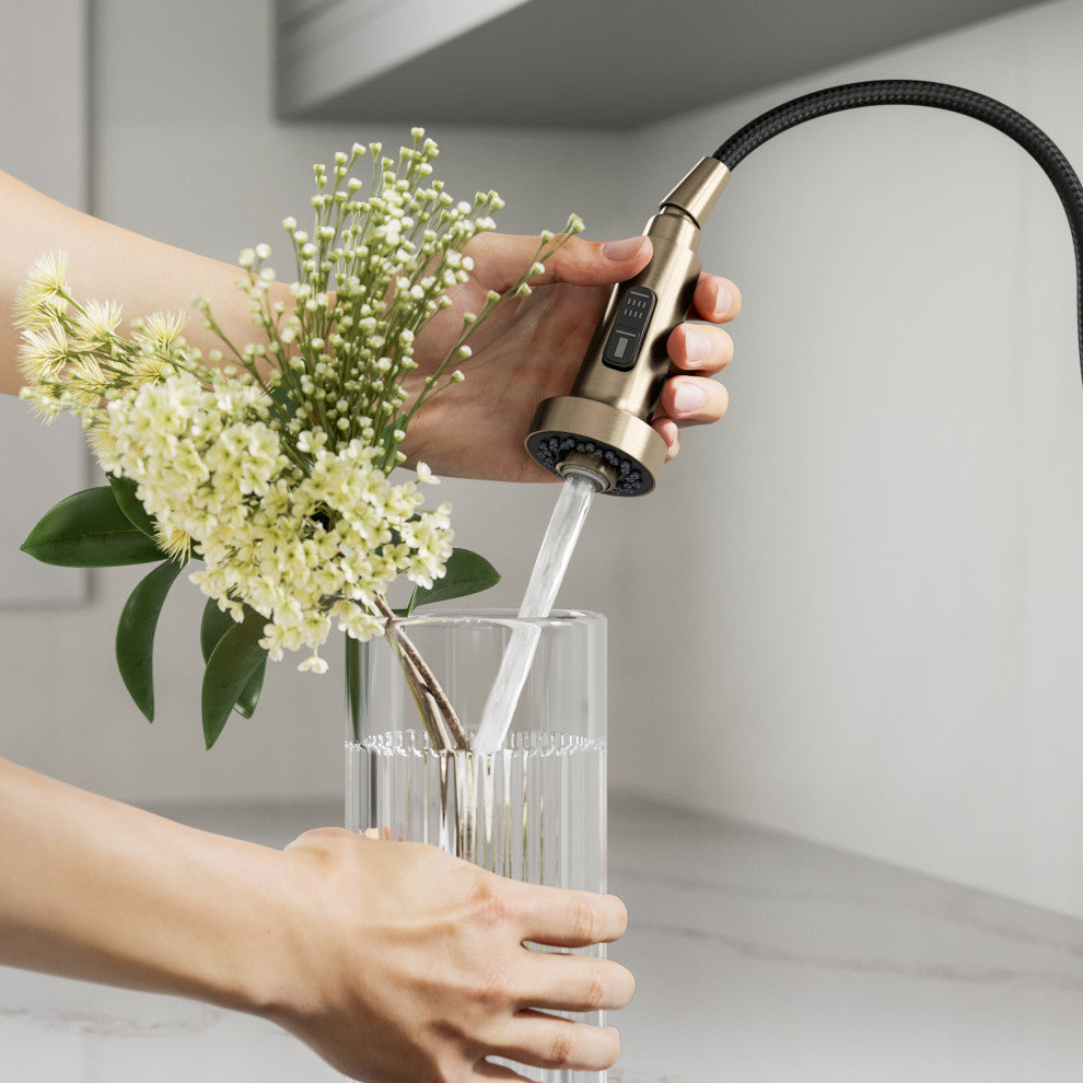 Bolden Commercial Style 2-Function Pull-Down 1-Handle 1-Hole Kitchen Faucet, Spot Free Antique Champagne Bronze