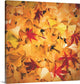 "Fall Range" Wrapped Canvas Art Print, 35"x35"x1.5"