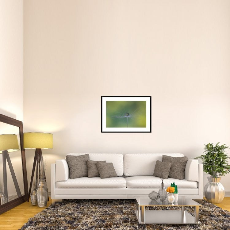"Magic Bunch" Framed Digital Print by Bertrand Kulik, 38"x28"