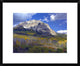 "Fall colors at Gunnison National Forest, Colorado"  by Tim Fitzharris, 24x20"