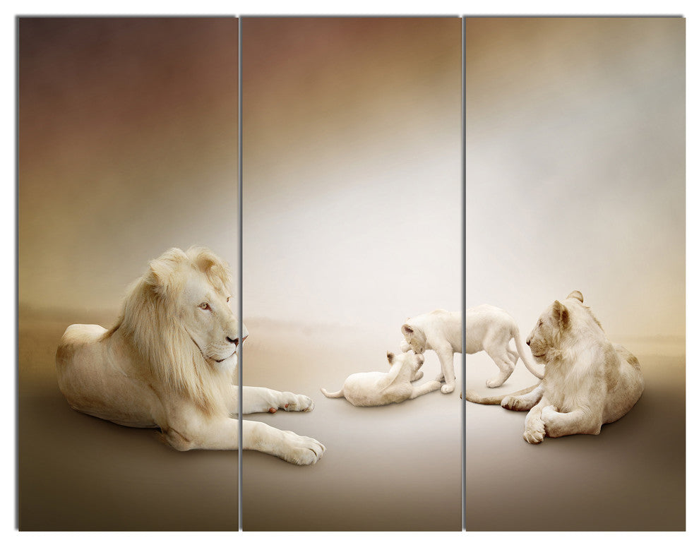 White Lion Family, Animal Canvas Wall Art, 36x28, 3 Panels