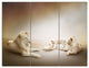 White Lion Family, Animal Canvas Wall Art, 36x28, 3 Panels