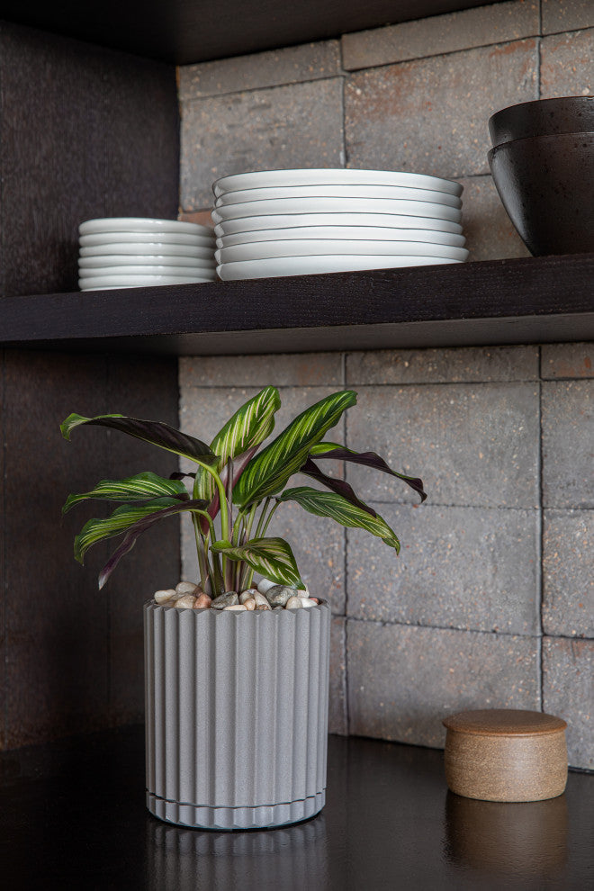 Veradek Demi Series Demi 6" Planter, Grey, 6 Inch, 1 Pack