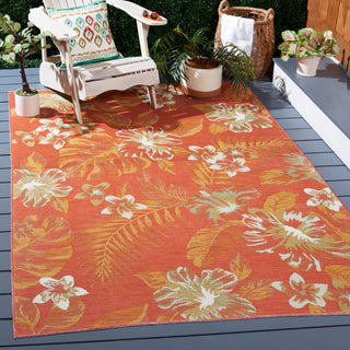 Safavieh Sunrise Collection SUN671 Indoor-Outdoor Rug, Ivory/Rust Sage, 4'x5'7"