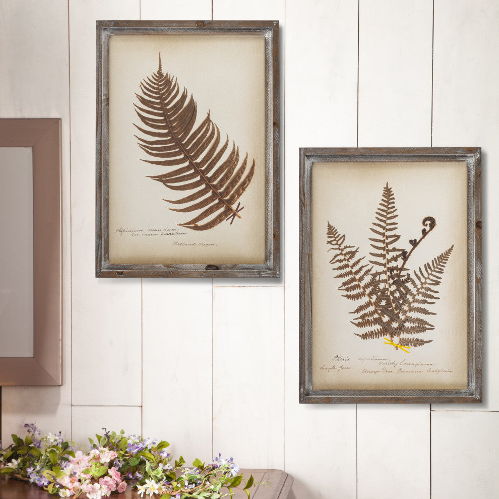 Set of 2, 22" Antique Fern Art, Wooden Frame
