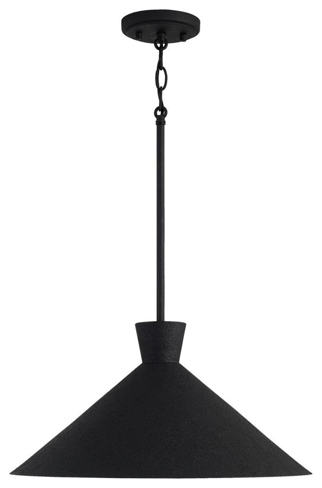 Capital Lighting Paloma 1-Light Pendant 350312XK Textured Black