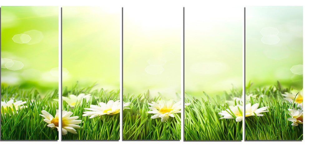 Spring Meadow with Daisies, Large Animal Canvas Art Print, 60"x28", 5 Panels