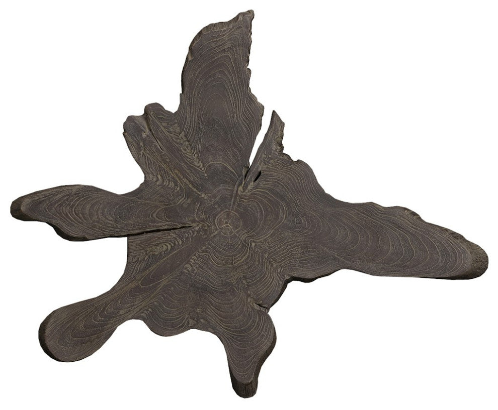 Teak Slice Wall Art, Large, Dark Gray