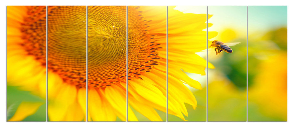 Beautiful Sunflowers Blooming, Large Animal Canvas Art Print, 83"x32", 7 Panels