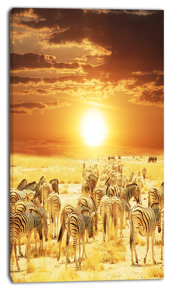 Wandering Herd of Zebra At Sunset, African Canvas Art Print, 16"x32"