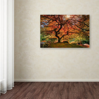 Moises Levy 'The Tree Horizontal' Canvas Art, 19 x 12