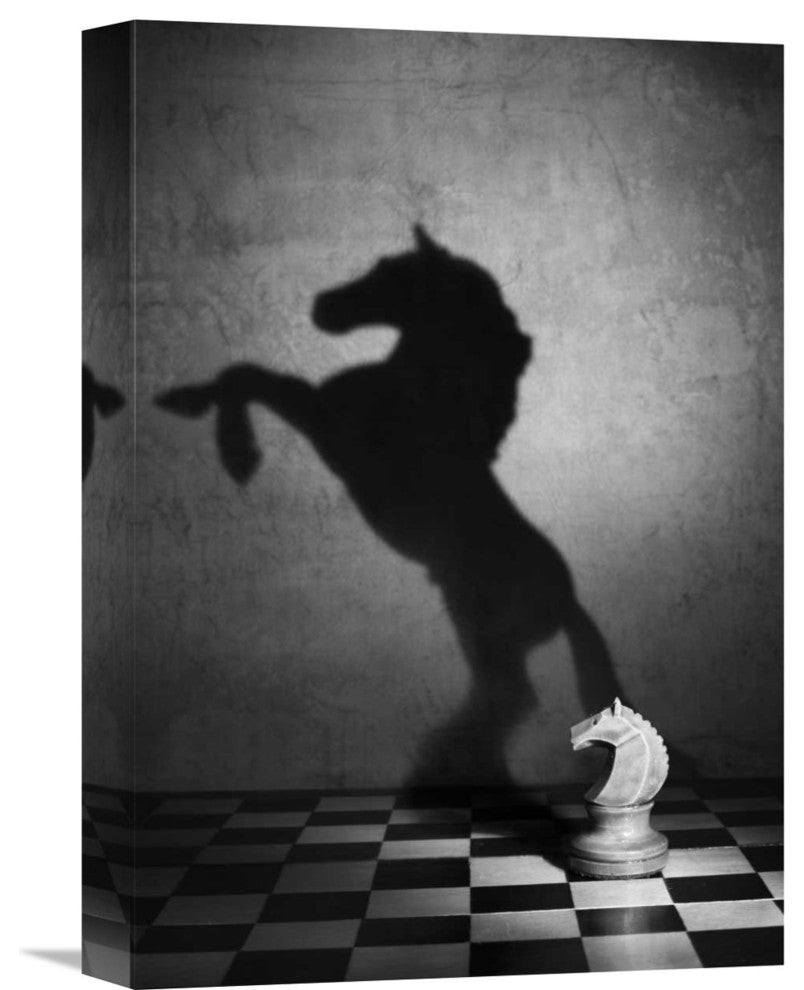 "The Soul Of A Mustang" Stretched Canvas Giclee by Victoria Ivanova, 11x16"