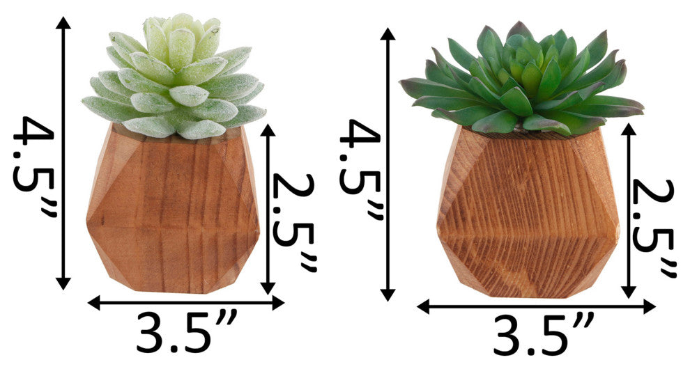 Set Of 2 Succ Wood Pot