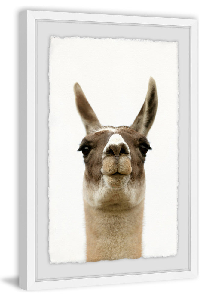 "Llama Face" Framed Painting Print, 24"x36"
