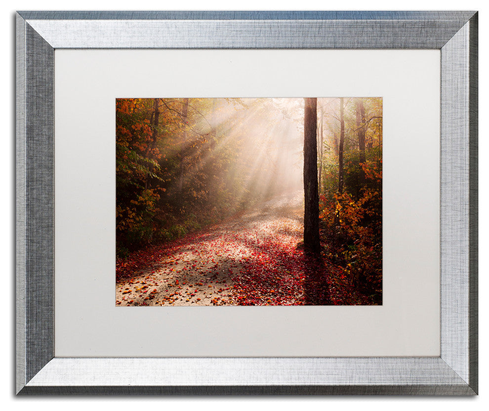 Michael Blanchette Photography 'Light in the Forest' Matted Framed Art, 20x16