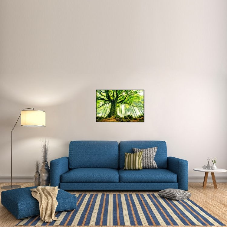 "Ponthus Beech" Framed Canvas Giclee by Christophe Kiciak, 37x25"