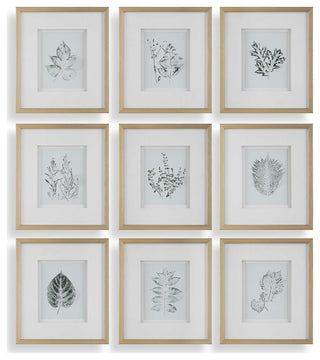 Uttermost Nature's Script Framed Botanical Prints Set of 9