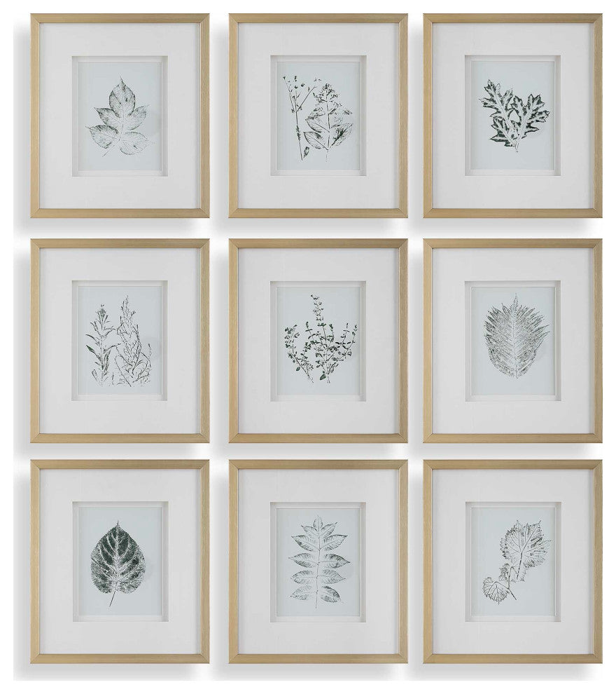 Uttermost Nature's Script Framed Botanical Prints Set of 9