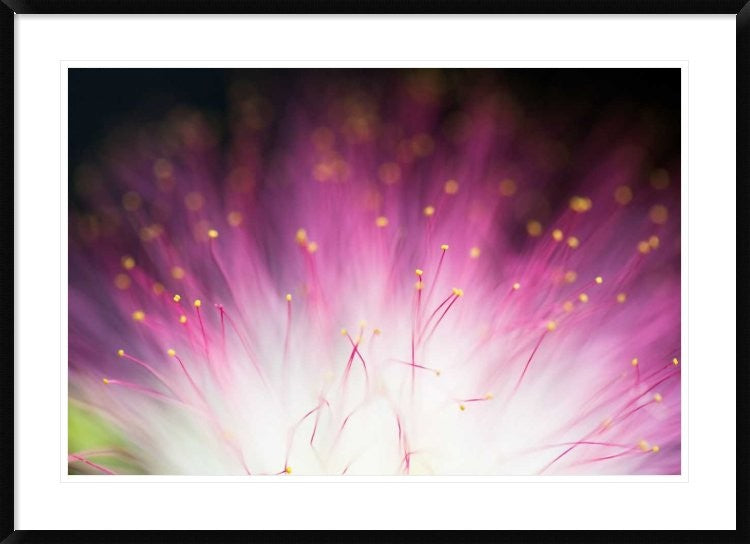 "Elfin" Framed Digital Print by Art Lionse, 44x32"