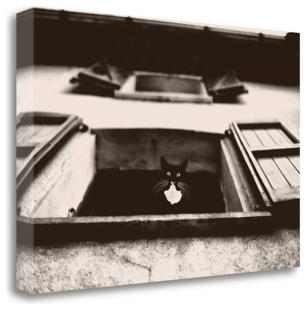 "Dali The Cat" By Lars Van De Goor, Giclee Print on Gallery Wrap Canvas