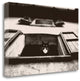 "Dali The Cat" By Lars Van De Goor, Giclee Print on Gallery Wrap Canvas