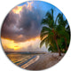 Beautiful Beach With Palms In Barbados, Seascape Disc Artwork, 23"