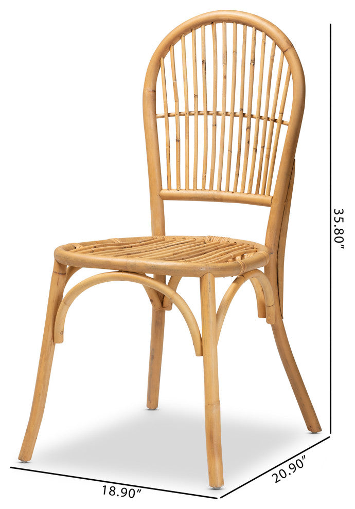 Wina Modern Bohemian Natural Brown Rattan 2-Piece Dining Chair Set