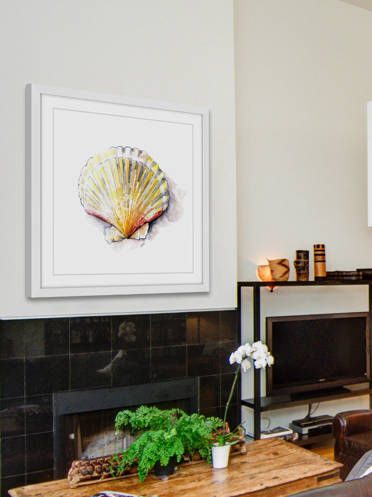 "Sea Scallop" Framed Print by Rachel Byler