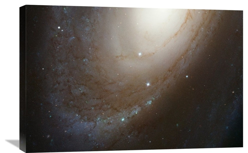 "HST ACS Image of M81" Stretched Canvas Giclee by NASA, 30"x20"