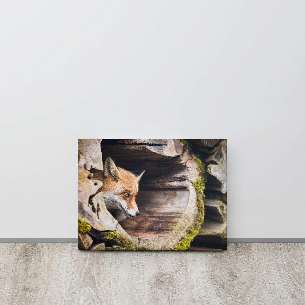 Young Red Fox Face In Mossy Stump Animal Wildlife Photo Canvas Wall Art Prints, 12" X 16"