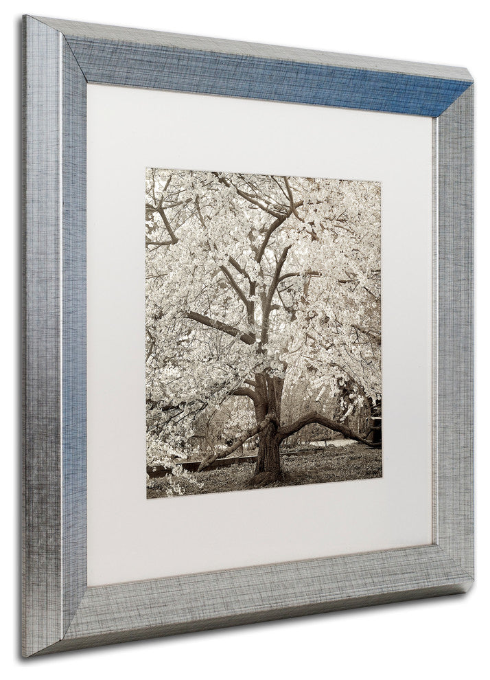 Alan Blaustein ''Hampton Magnolia II'' Art, Silver Frame, White Mat, 16x16