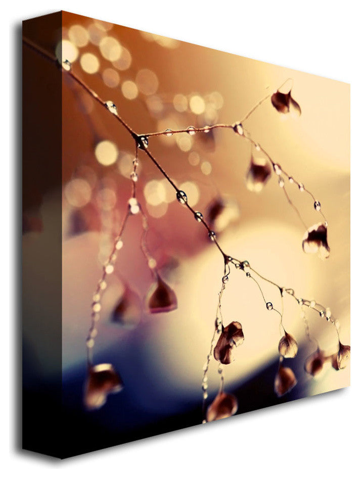 'Summer Concert' Canvas Art by Beata Czyzowska Young