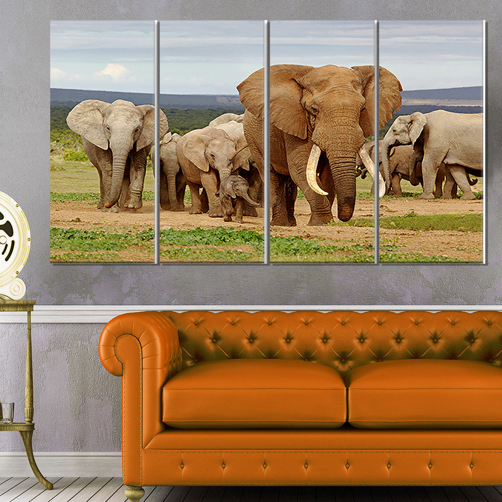 Large Elephant Herd in Africa, African Canvas Art Print, 48"x28", 4 Panels