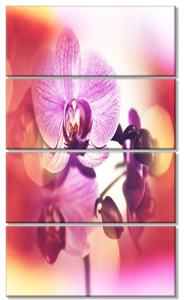 Beautiful Pink Orchid Flowers, Large Flower Canvas Wall Art, 28"x48", 4 Panels