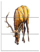 "Male Deer Illustration Art" Glossy Metal Wall Art, 3 Panels, 28"x36"