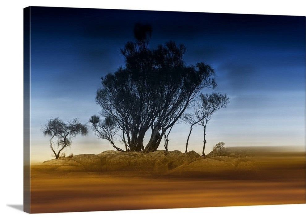 "Dreaming" Wrapped Canvas Art Print, 24"x16"x1.5"