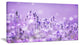 Stunning Purple Lavender Field, Landscape Canvas Art Print, 32"x16"