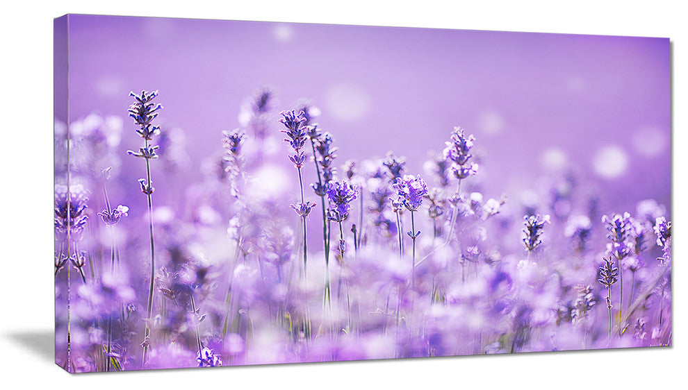 Stunning Purple Lavender Field, Landscape Canvas Art Print, 32"x16"