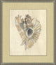 Shell Elegance 3, Giclee Reproduction Artwork