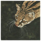 "The Margay" Digital Paper Print by Jacquie Vaux, 32"x32"