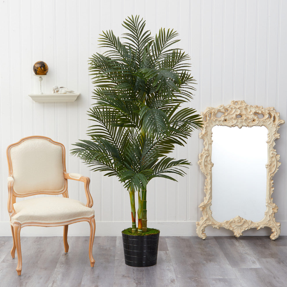 6' Golden Cane Artificial Palm Tree, Black Tin Planter