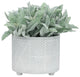 2-Piece Set Ceramic Diamond Footed Planter, Gray